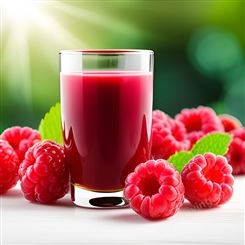 树莓浓缩汁 固体饮料原料 质量稳定 新鲜水果原浆 浓缩果酱 规格齐全