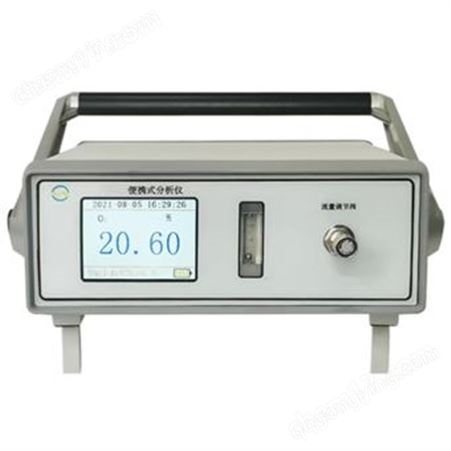 GSY500氧气分析仪